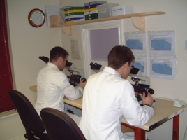 Testing Asbestos in M3 & M4