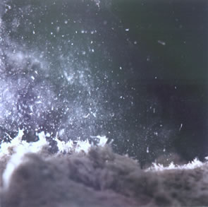 Loose Fill 1