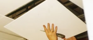 aib1